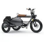 Ebike SIDECAR
