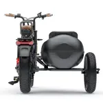 Ebike SIDECAR