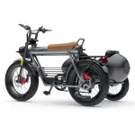 Ebike SIDECAR