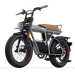 CT20 5" Fat Tire Electric Bike