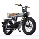 CT20 5" Fat Tire Electric Bike