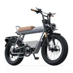 CT20 5" Fat Tire Electric Bike