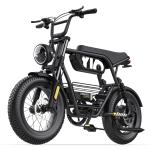 Y16 EBIKE