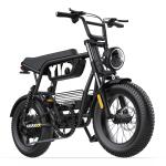 Y16 EBIKE