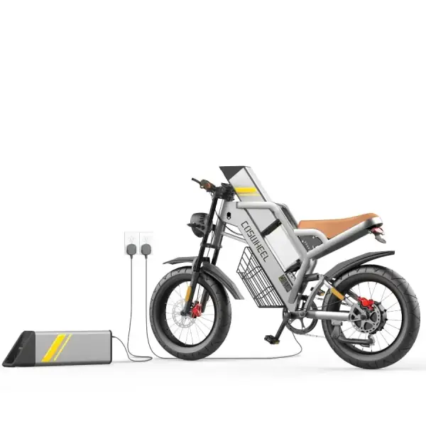 BATTERY FOR COSWHEEL EBIKE